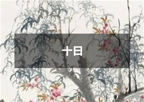 十日