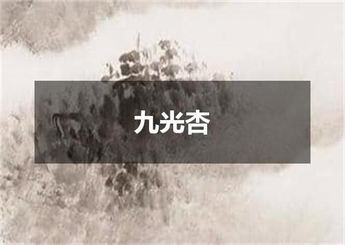 九光杏