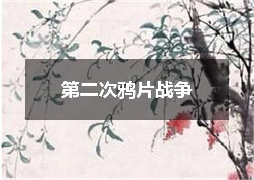 第二次鸦片战争