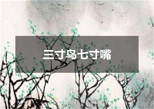 三寸鸟七寸嘴