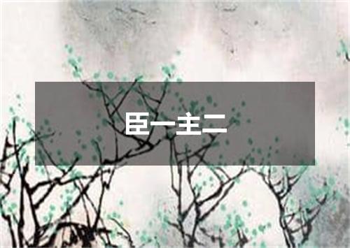 臣一主二