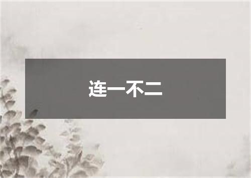 连一不二