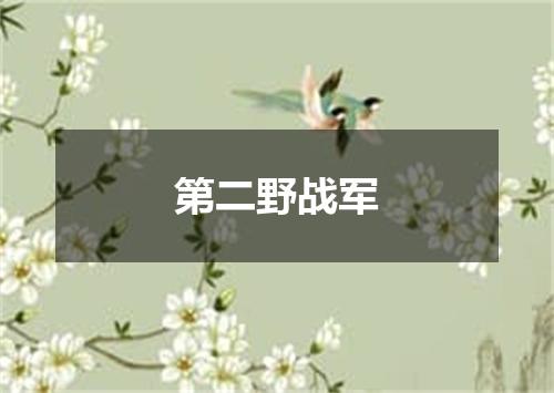 第二野战军