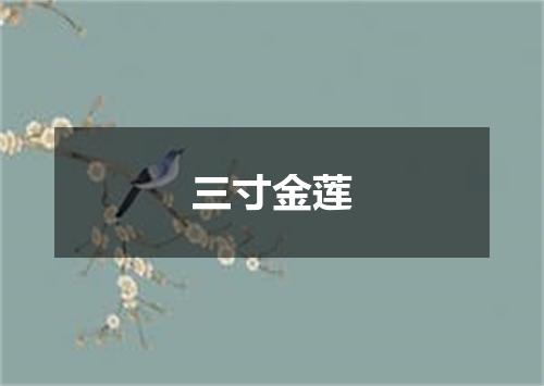 三寸金莲