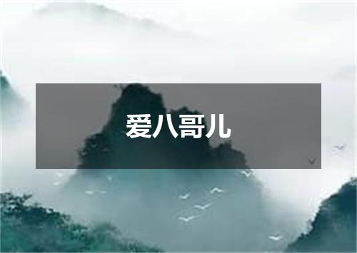 爱八哥儿