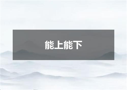 能上能下