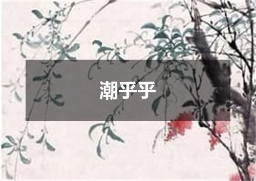 潮乎乎