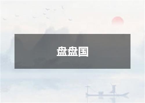 盘盘国
