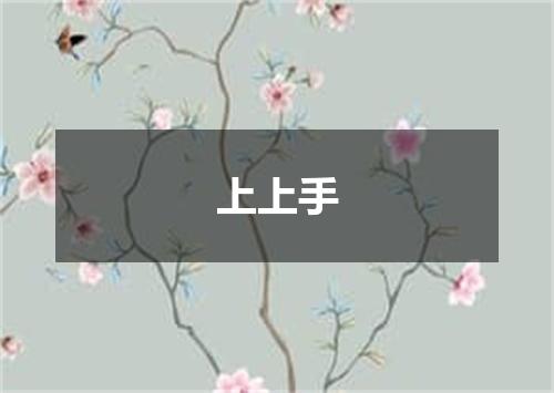 上上手