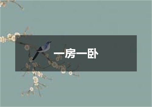 一房一卧