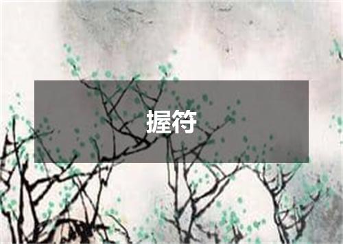 握符