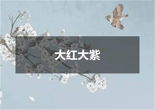 大红大紫
