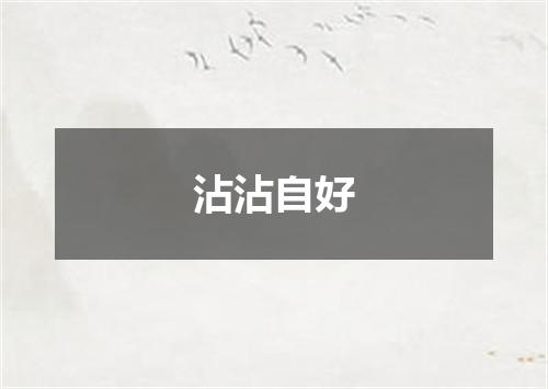 沾沾自好