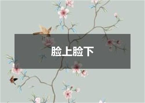脸上脸下