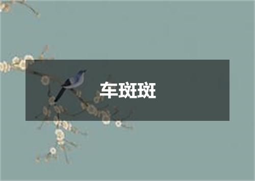 车斑斑
