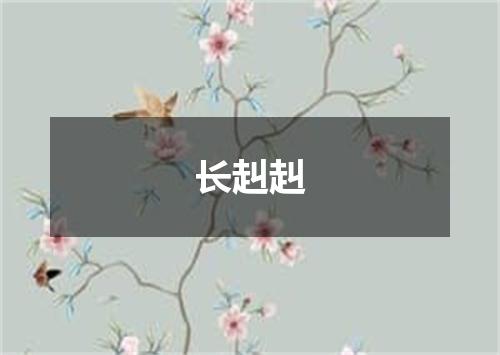 长赳赳