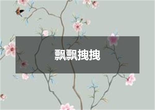 飘飘拽拽
