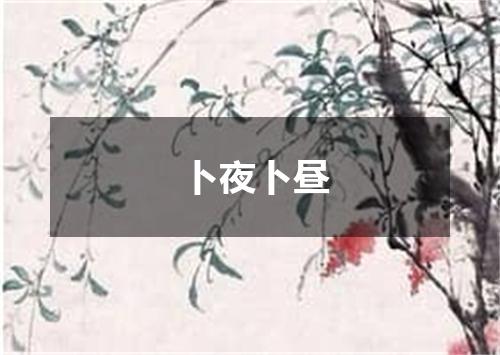卜夜卜昼