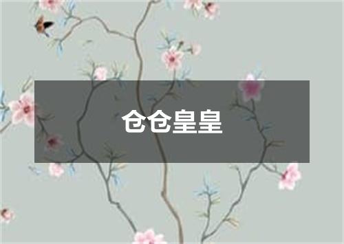 仓仓皇皇