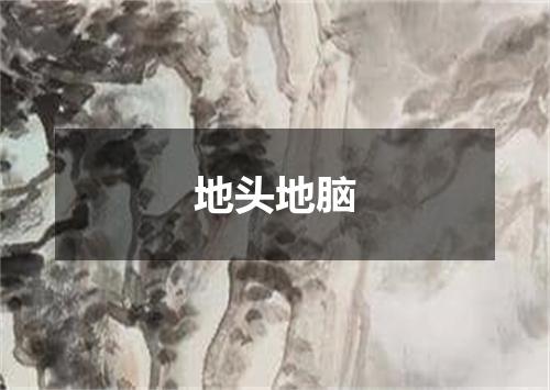地头地脑