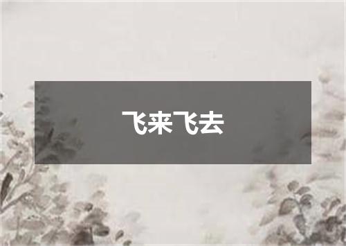 飞来飞去