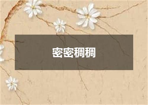 密密稠稠