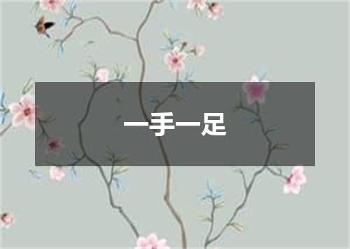 一手一足