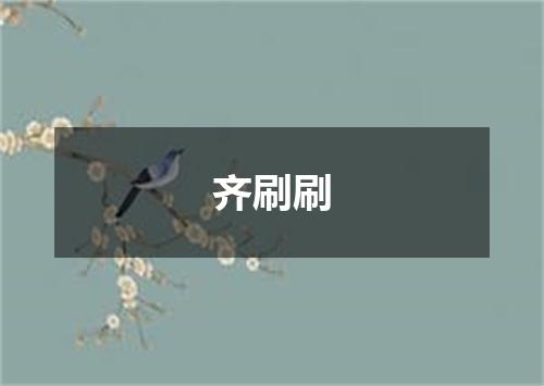 齐刷刷