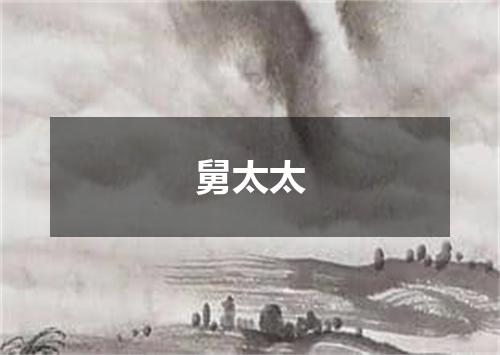 舅太太