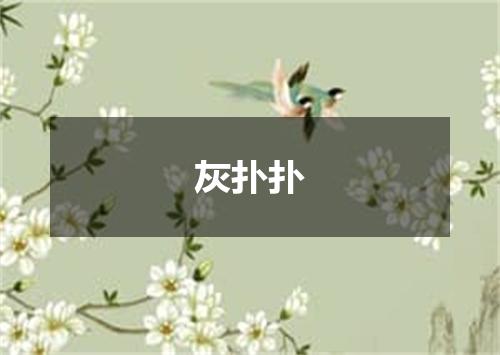 灰扑扑