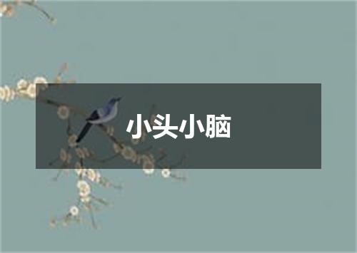 小头小脑