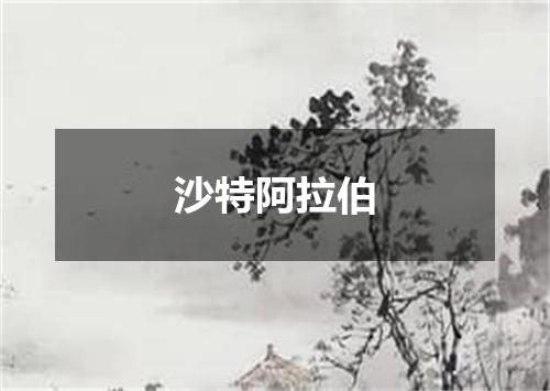 沙特阿拉伯