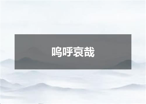 呜呼哀哉