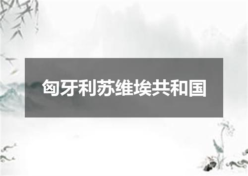匈牙利苏维埃共和国