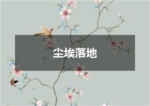 尘埃落地