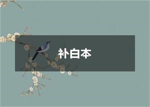 补白本