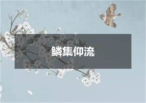 鳞集仰流