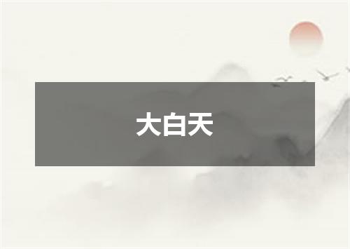 大白天