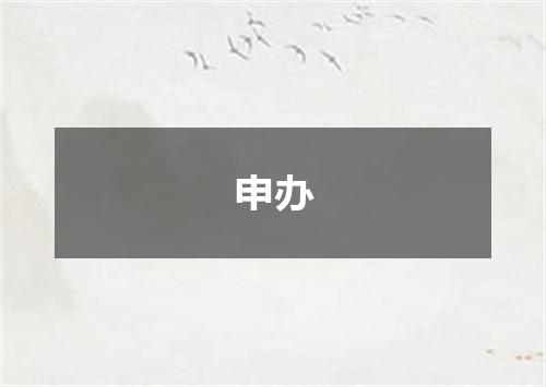 申办