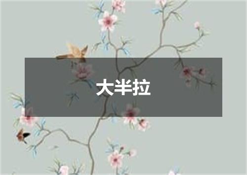 大半拉