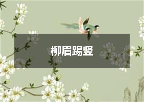 柳眉踢竖