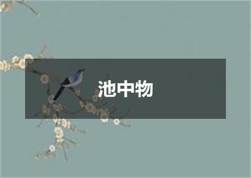 池中物