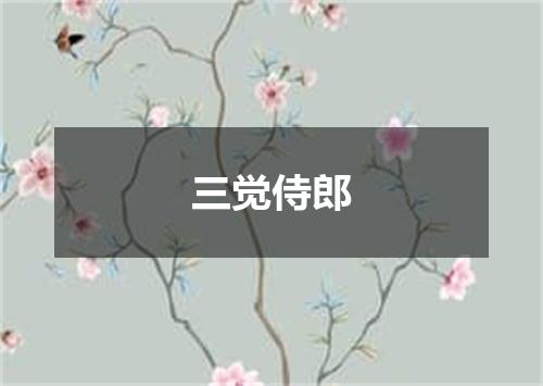 三觉侍郎