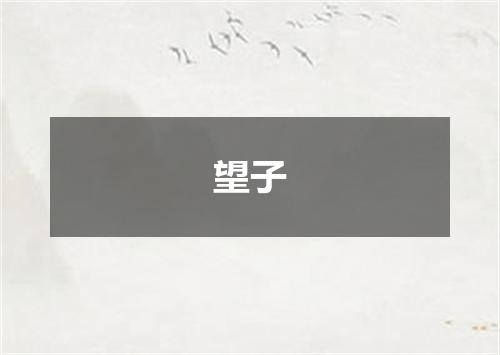 望子
