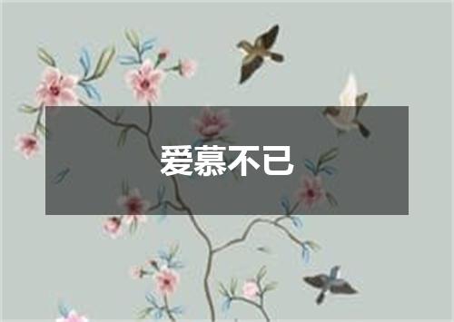 爱慕不已