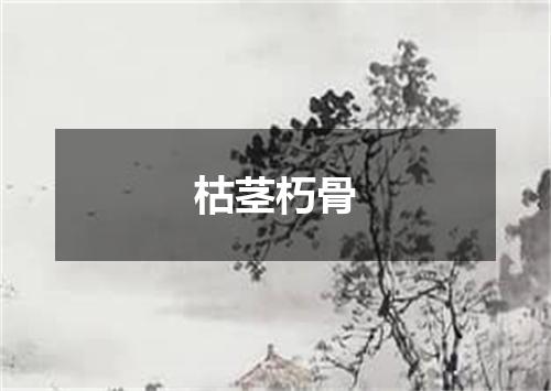 枯茎朽骨