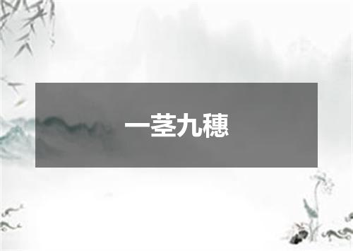 一茎九穗