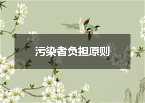 污染者负担原则