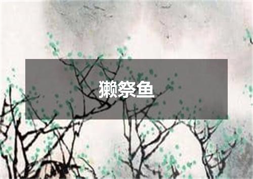獭祭鱼