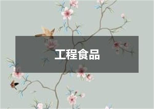 工程食品